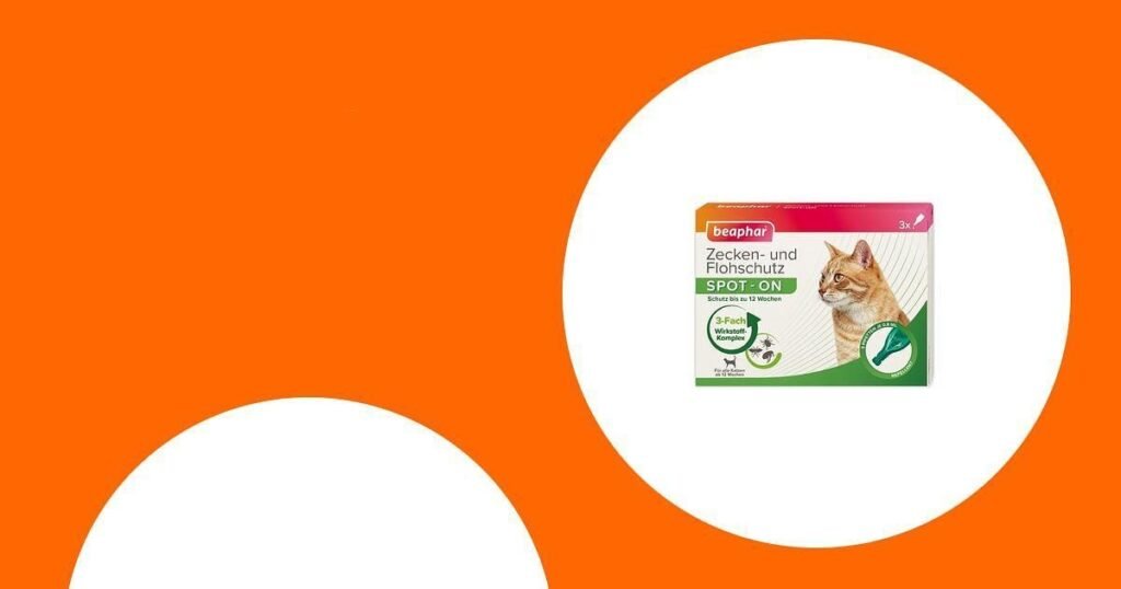Die besten Zeckenmittel für Katzen im Vergleich